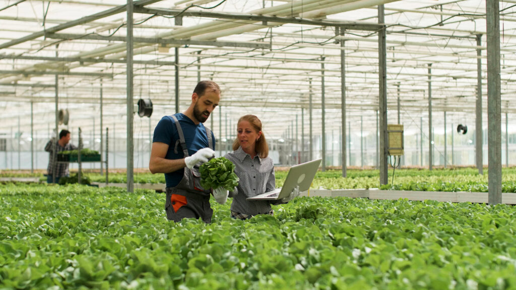 homem agricultor consultando analista para aproveitamento da agricultura em uma horta 